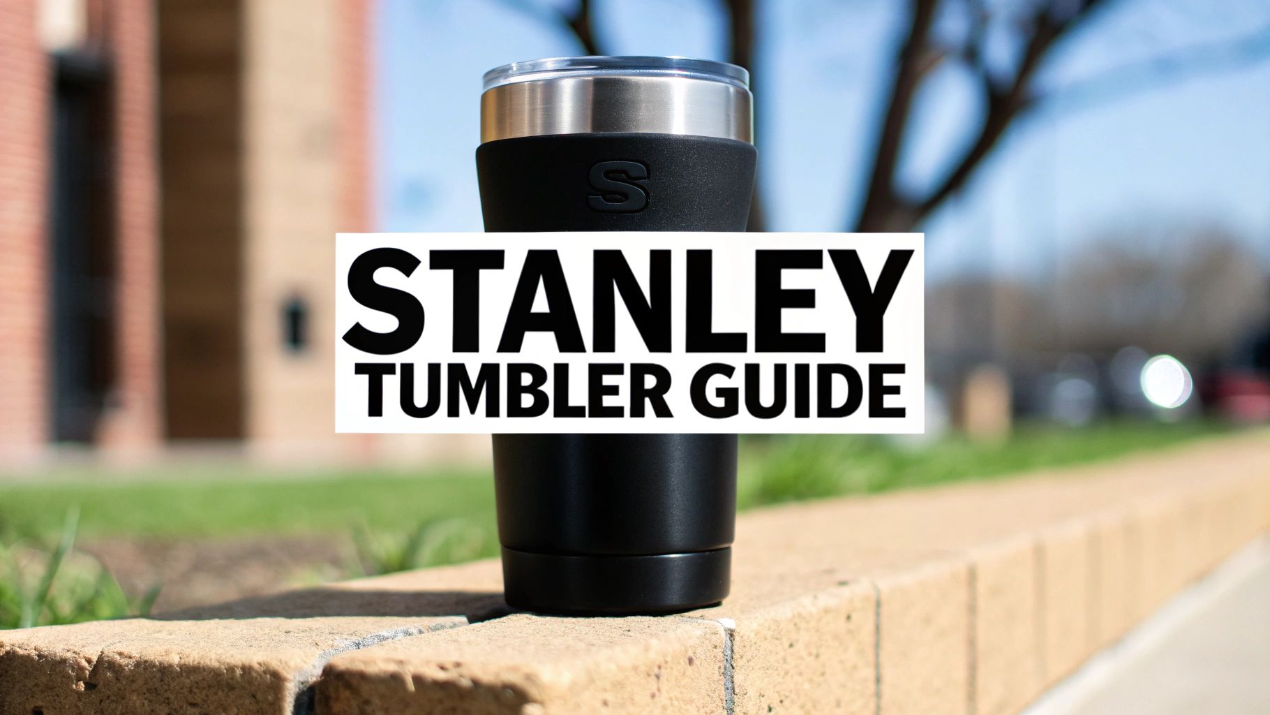 Your Guide to the Stanley Tumbler 30 oz