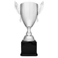 Thumbnail for 26 1/2