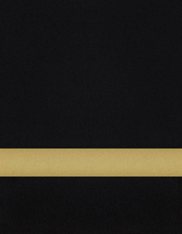 12" x 24" x .020" Black/Gold with 3M Adhesive Duets Flexible Contours Plastic