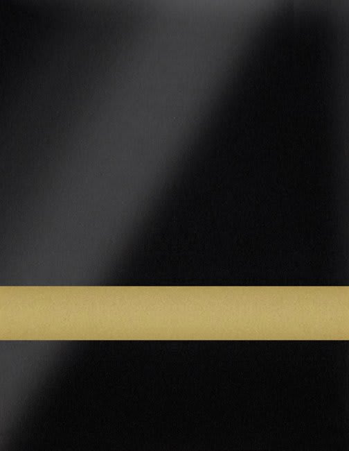24" x 49" x .020" Gloss Black/Gold Duets Flexible Contours Plastic
