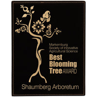 Thumbnail for Light Brown Laseraeble Leatherette Plaque Sample Set